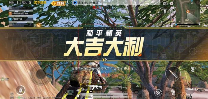 国际版和平精英外挂多吗（国际版和平精英厉害吗）